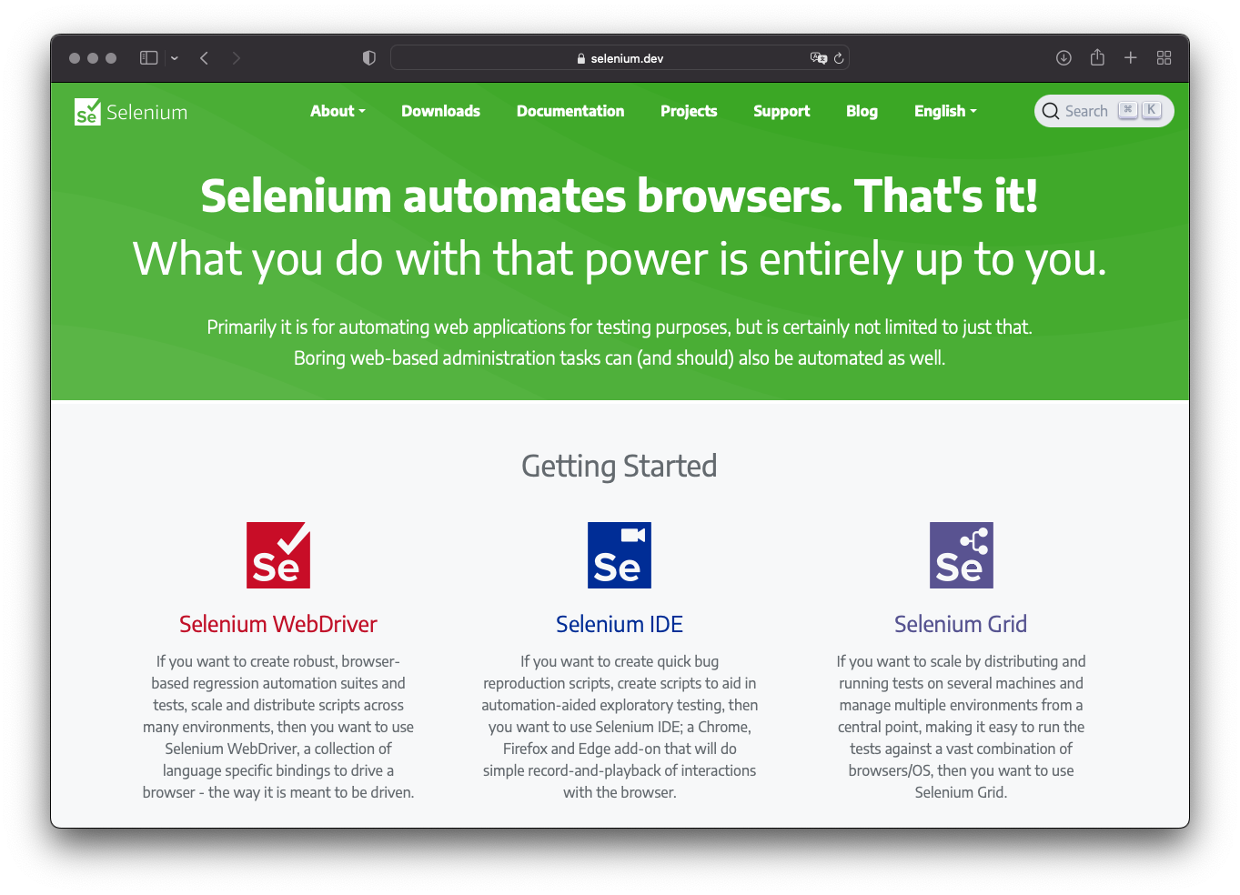 レンタルサーバーでselenium/puppeteerを動かす